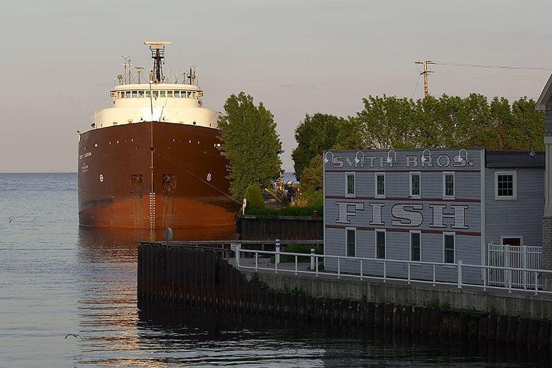 Bulk freighter 275178813-Reduced June 27, 2004 800 x 533 pixels Exclude ?