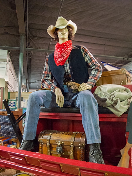 Cowboy Dude