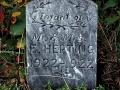 Infant Hepting