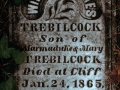 William James Trebilcock