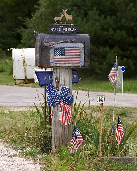 Marvin Hoffman, Country Patriot