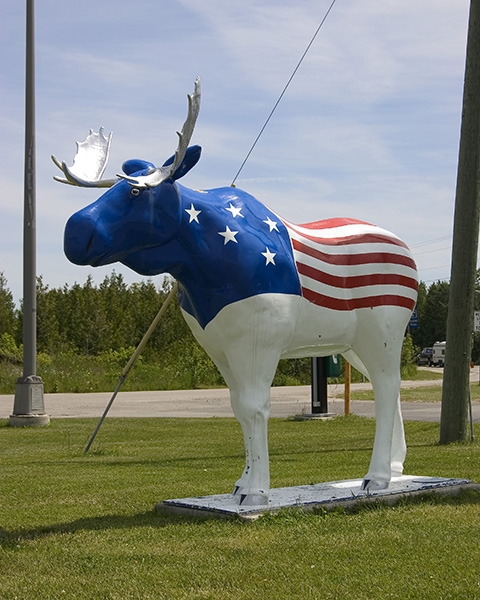 Patriotic Moose - St. Ignace, Michigan