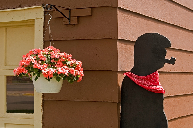 Bandana Guy - Boston Location
