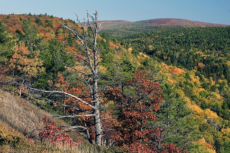 Brockway Mountain Vista - Keweenaw County, Michigan