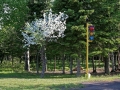 Traffic Control - Gay, Michigan