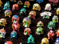 Lotsa Toy Turtles