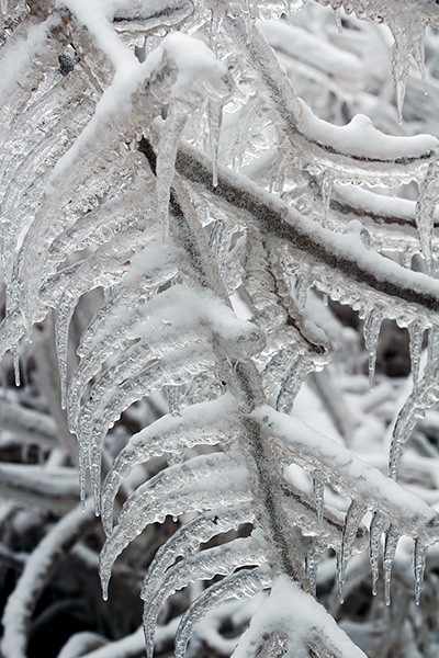 Ice Formations - Port Washington Lakefront, Wisconsin