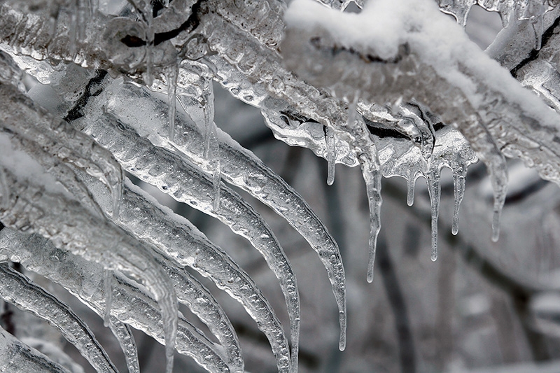 Ice Formations - Port Washington Lakefront, Wisconsin