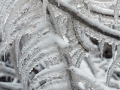 Ice Formations - Port Washington Lakefront, Wisconsin