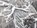 Ice Formations - Port Washington Lakefront, Wisconsin