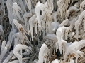 Ice Formations - Port Washington Lakefront, Wisconsin