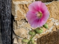Old Stone Building