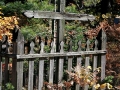 Pine Grove Cemetery