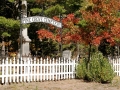 Pine Grove Cemetery