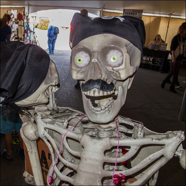 2017 Port Washington Pirate Festival