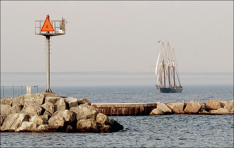 2017 Port Washington Pirate Festival