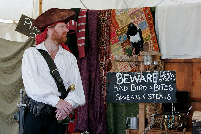 Port Washington Pirate Festival
