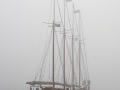 Port Washington Pirate Festival