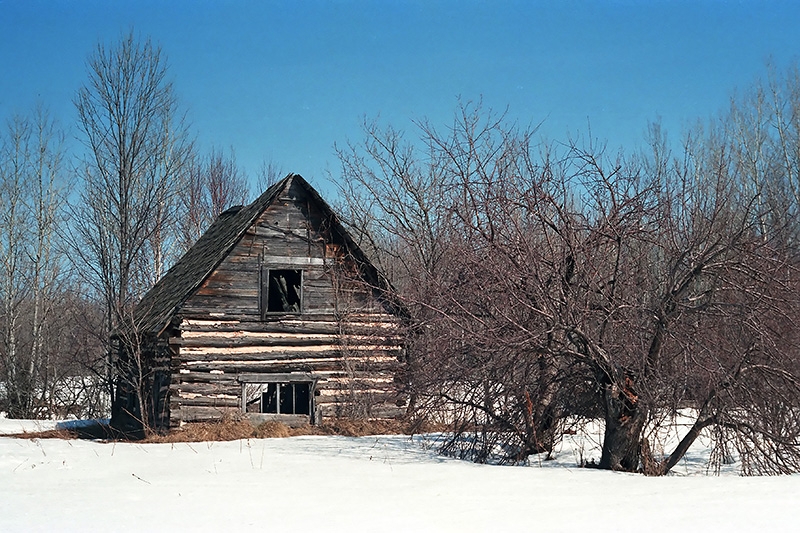 Abandoned Log Cabin - Ontonagon County