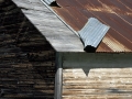 Old Shed Roof - Watson, Michigan