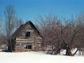 Abandoned Log Cabin - Ontonagon County