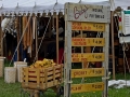 Saukville Cross-Roads Rendezvous