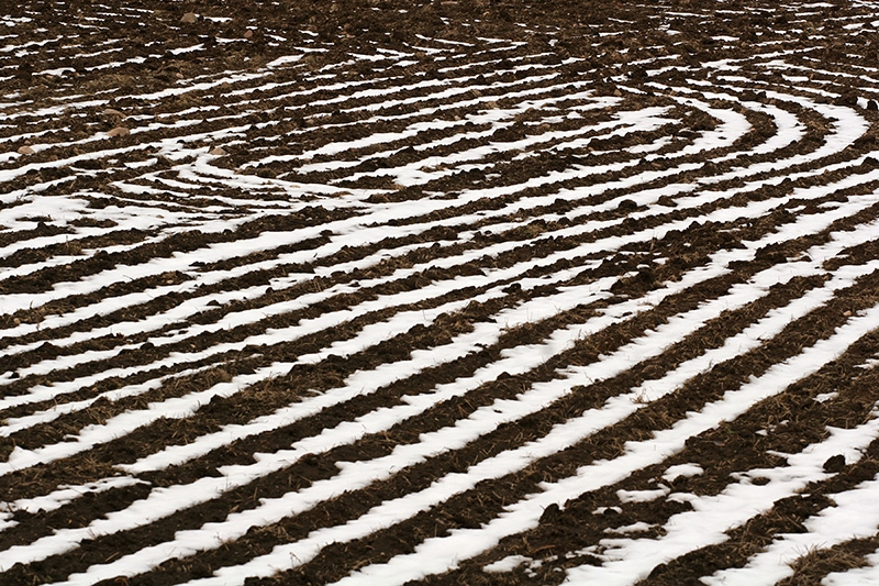 Indeterminate Season