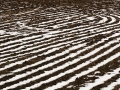 Indeterminate Season