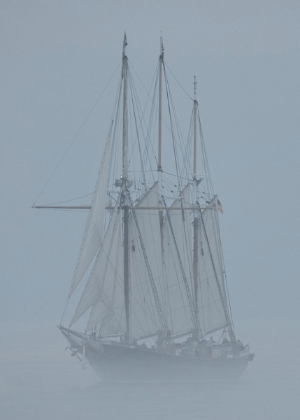 Denis_Sullivan_fog_reduced
