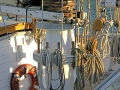 SV Denis Sullivan (Milwaukee, WI) - Mast and Rigging