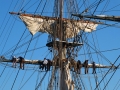 Brig Niagara - Sturgeon Bay, WI