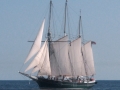 SV Denis Sullivan (Milwaukee, WI) - Milwaukee