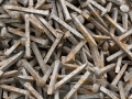 Railroad tie spikes - Reeseville, Wisconsin
