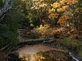 Cliff Drive Overlook