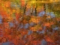Autumn's Spectrum
