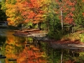 Rapid River Shoreline