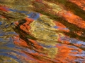 Laughing Whitefish River