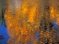 Simply Orange - Milwaukee River, WI