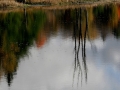 Alger County, Michigan Pond