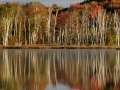 Council Lake - Alger County, Michigan