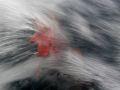 Rushing Waters - Maple Leaf