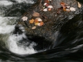 Bond Falls Pothole - Ontonagon County, Michigan