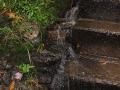 Bond Falls - Ontonagon County, Michigan