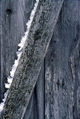 Barnwood - Ontonagon County, Michigan