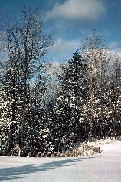 Sunny Winter Day - White Pine, Michigan