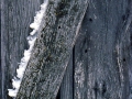 Barnwood - Ontonagon County, Michigan