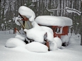 Not Goin' Plowing Today - Toivola, Michigan