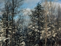 Sunny Winter Day - White Pine, Michigan