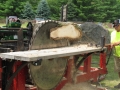 Wisconsin Antique Power Reunion Tractor Show (2014)