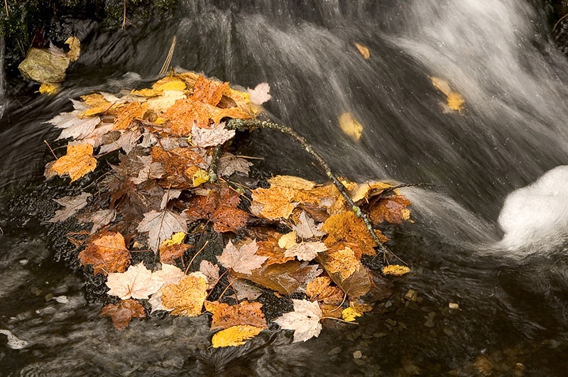 Bond Falls Scenic Site